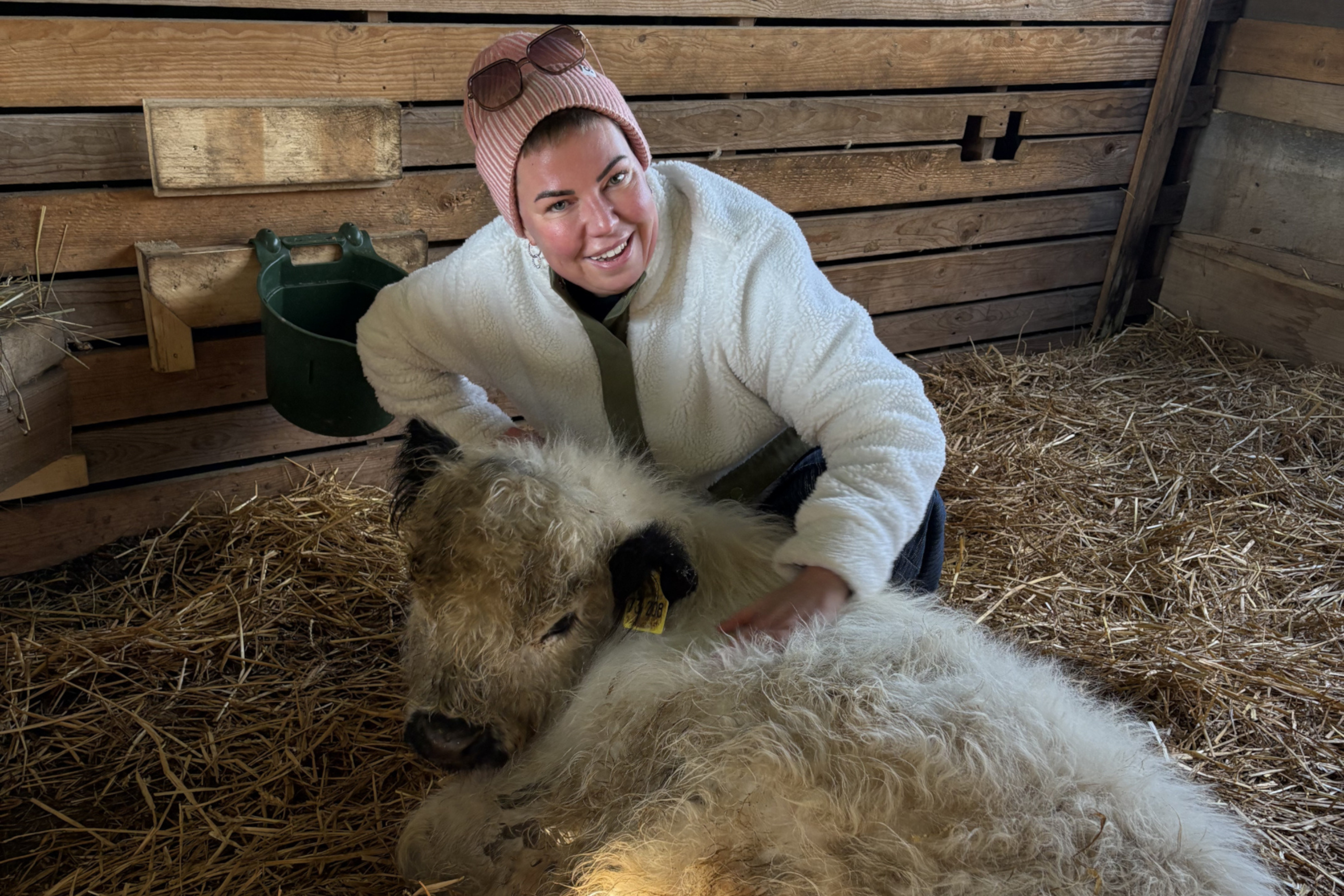 Gemeinsame Weihnachtsaktion von HIS und HIK